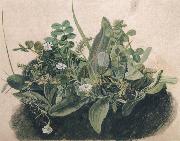 unknow artist Small Clump of Wayside Plants china oil painting artist